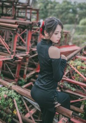 养蜂人2杰森斯坦森版免费观看_720高清在线